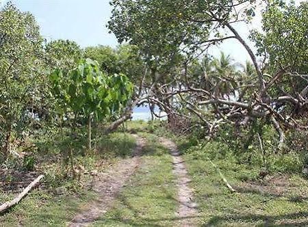 Alofa Beach Bungalows Lénakel Eksteriør bilde