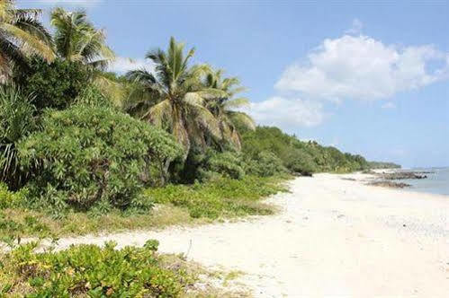 Alofa Beach Bungalows Lénakel Eksteriør bilde