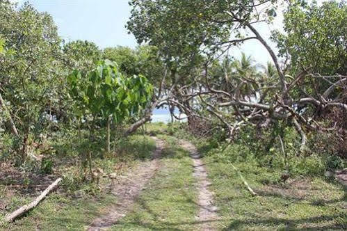 Alofa Beach Bungalows Lénakel Eksteriør bilde